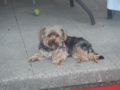 20130607-jah-2033-jpg