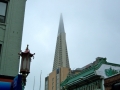 20120315-mcb-315-jpg